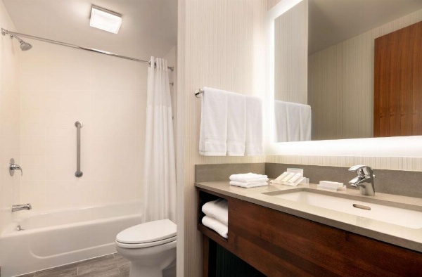 Hilton Garden Inn Long Island City New York image 25
